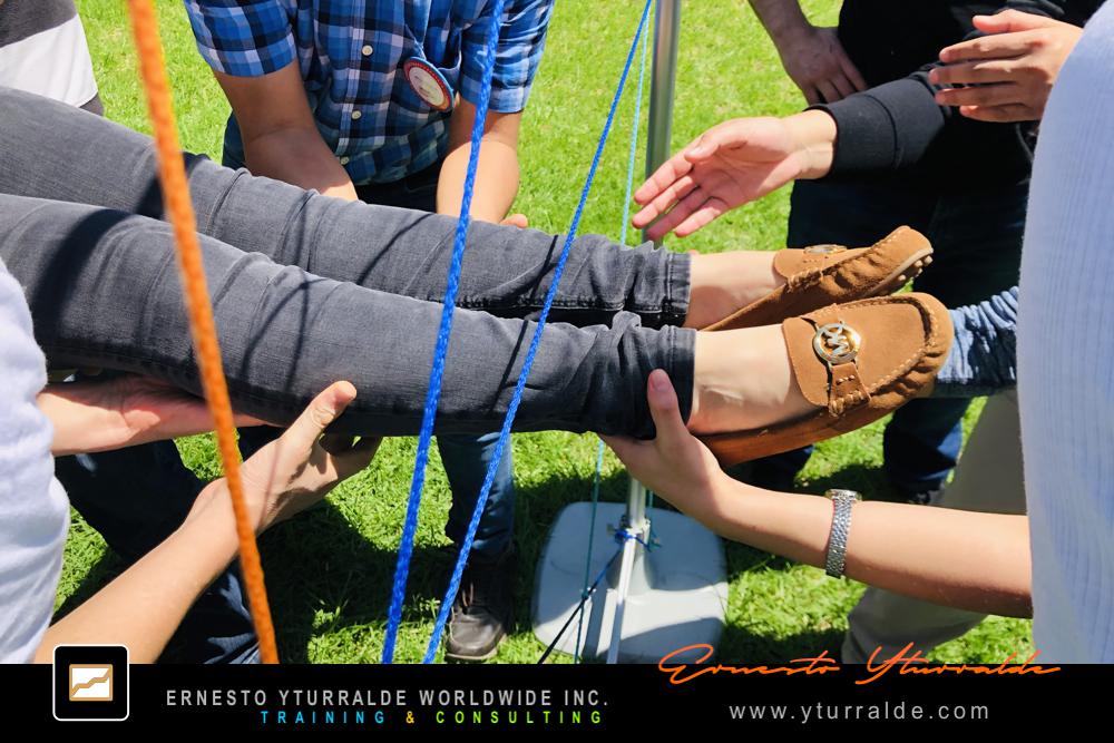 Taller de Cuerdas Bajas para potenciar la sinergia y el rendimiento de equipos empresariales